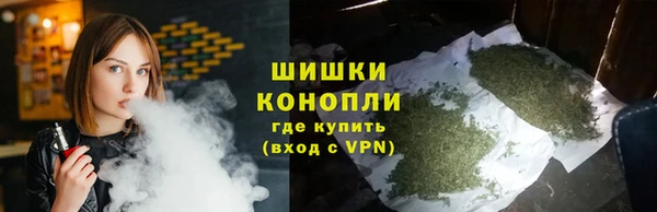 apvp Гусиноозёрск