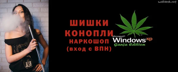 apvp Гусиноозёрск