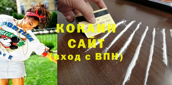 кокс Гусев