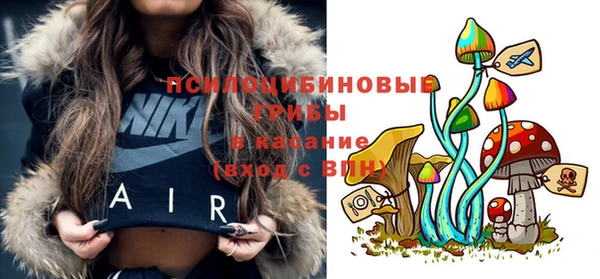 кокс Гусев